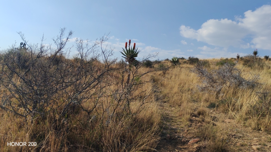 0 Bedroom Property for Sale in Cradock Eastern Cape